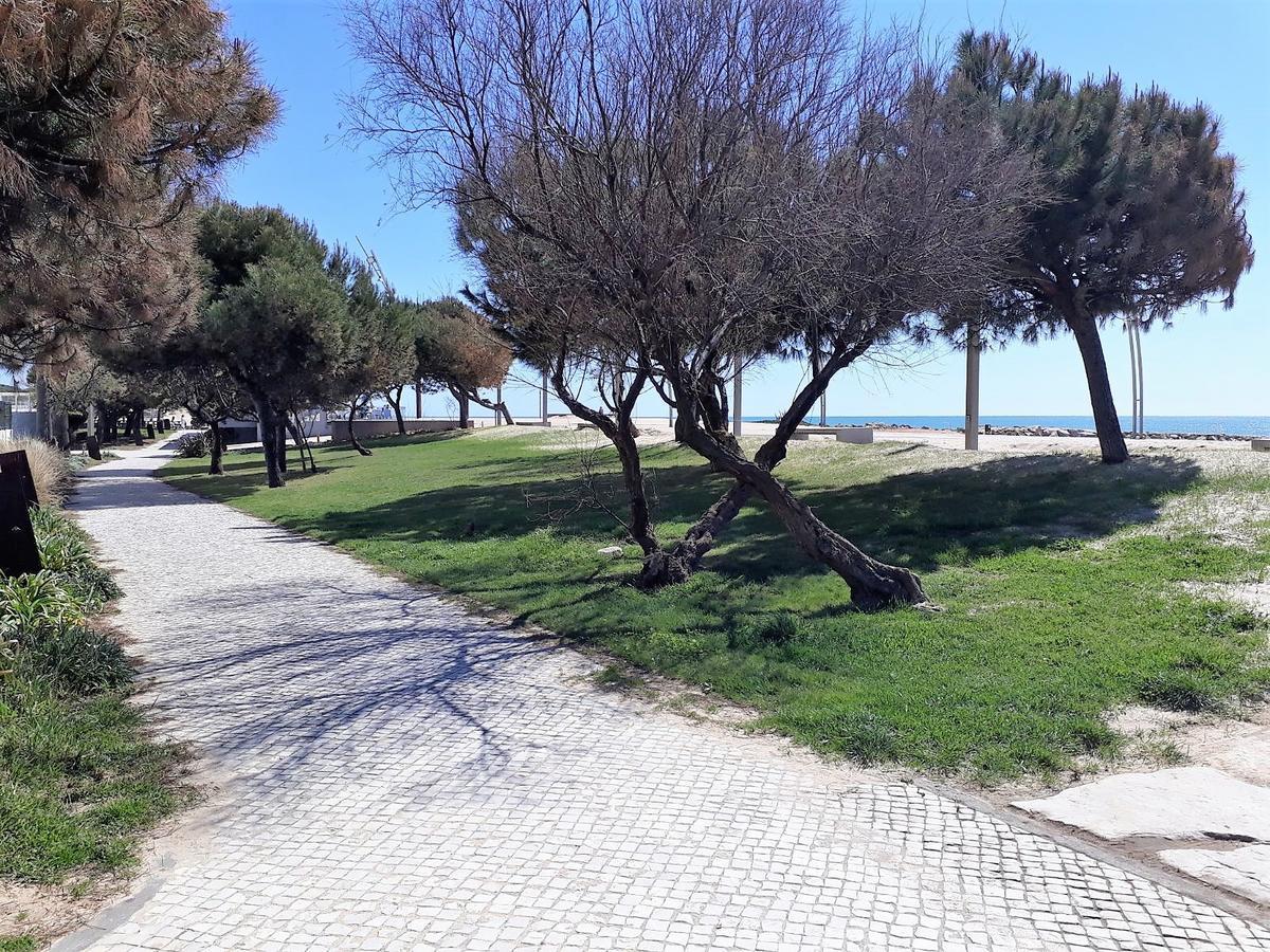 קווארטיירה Avenida Mar- Vista Mar, Wifi, 150Mt Praia מראה חיצוני תמונה